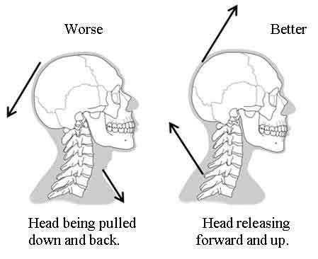 Head and Neck showing up and forward or down and back