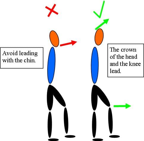 Walking, Crown of the head leads diagram