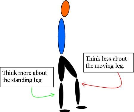 Walking, Standing leg diagram